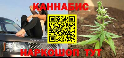 прущие крисы Будённовск