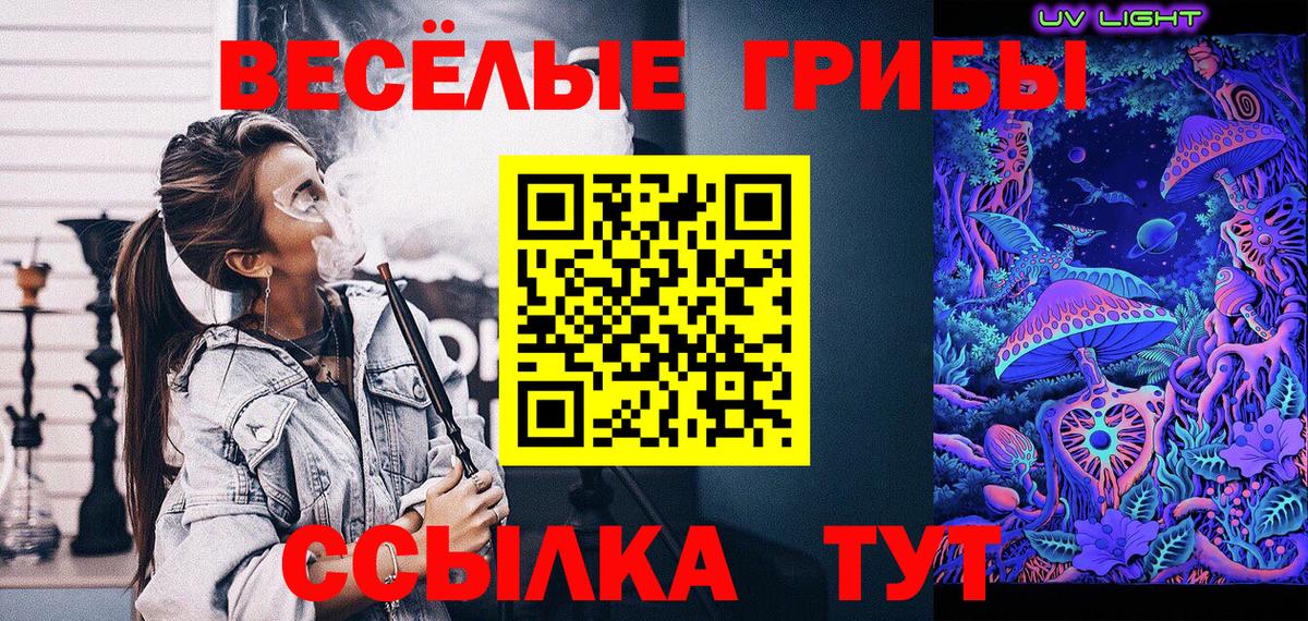Псилоцибиновые грибы Cubensis  Галлюциногенные грибы GOLDEN TEACHER  Вход с VPN  Королёв 